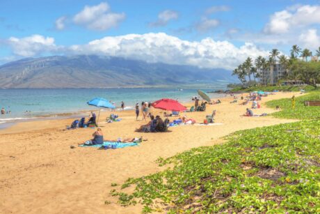 Maui Banyan Q408 Kihei