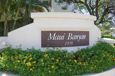 Maui Banyan Q408A