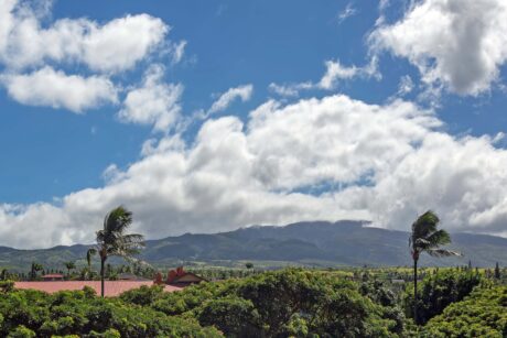 Hololani A501 Kahana Maui