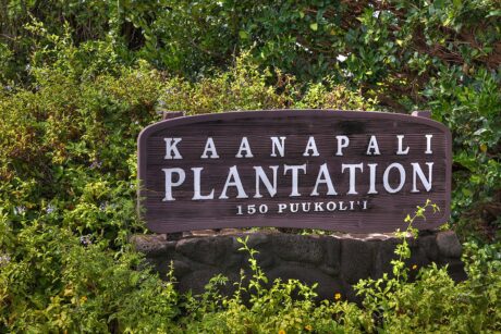 Kaanapali Plantation 20