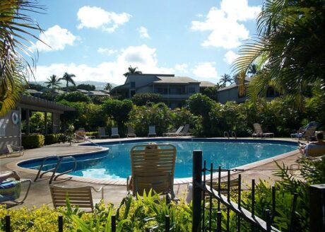 Two Pools on Ekolu Property With 18 Acres of Lush Tropical Landc