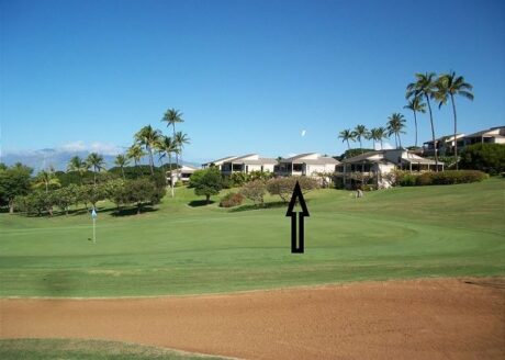 10th Green of Wailea Blue Course. We Are the Building Second Fro