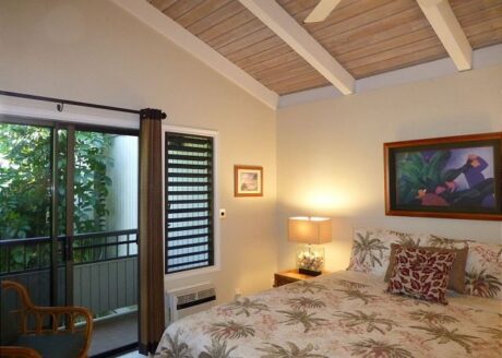 Private Guest Suite with Its Own Lanai, High Vaulted Ceiling, Fa