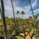 Maui Eldorado Resort (69)
